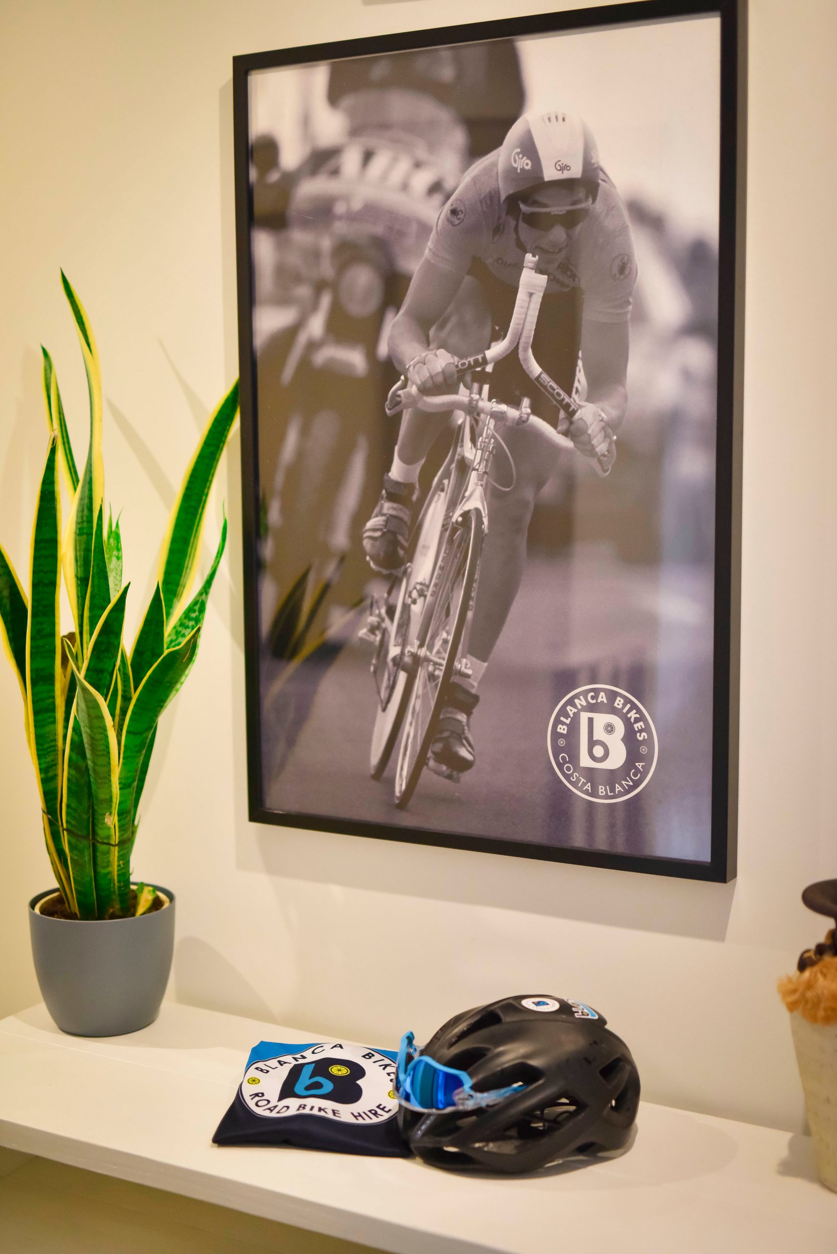 Bike Photo Framed on Wall