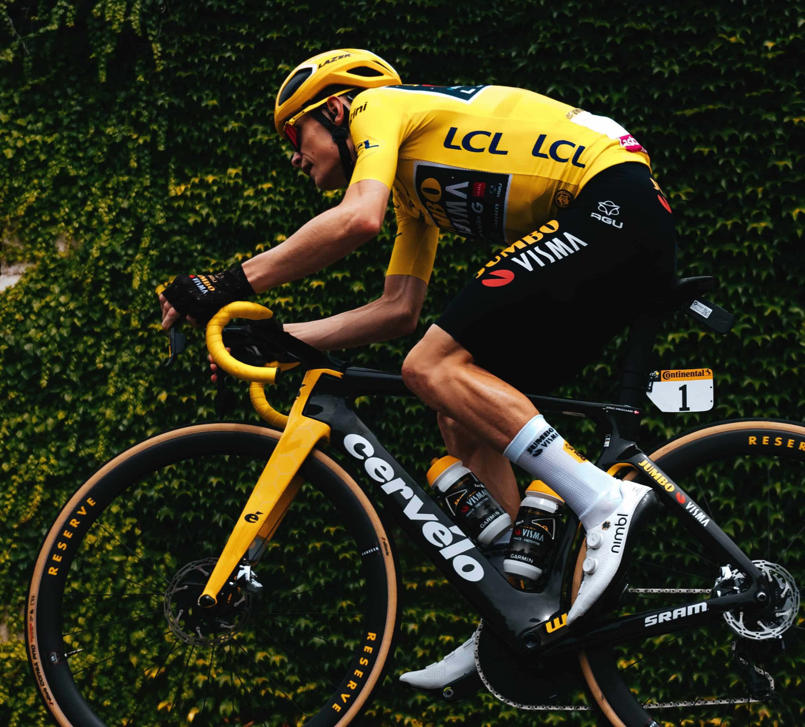 Cyclist near hedge