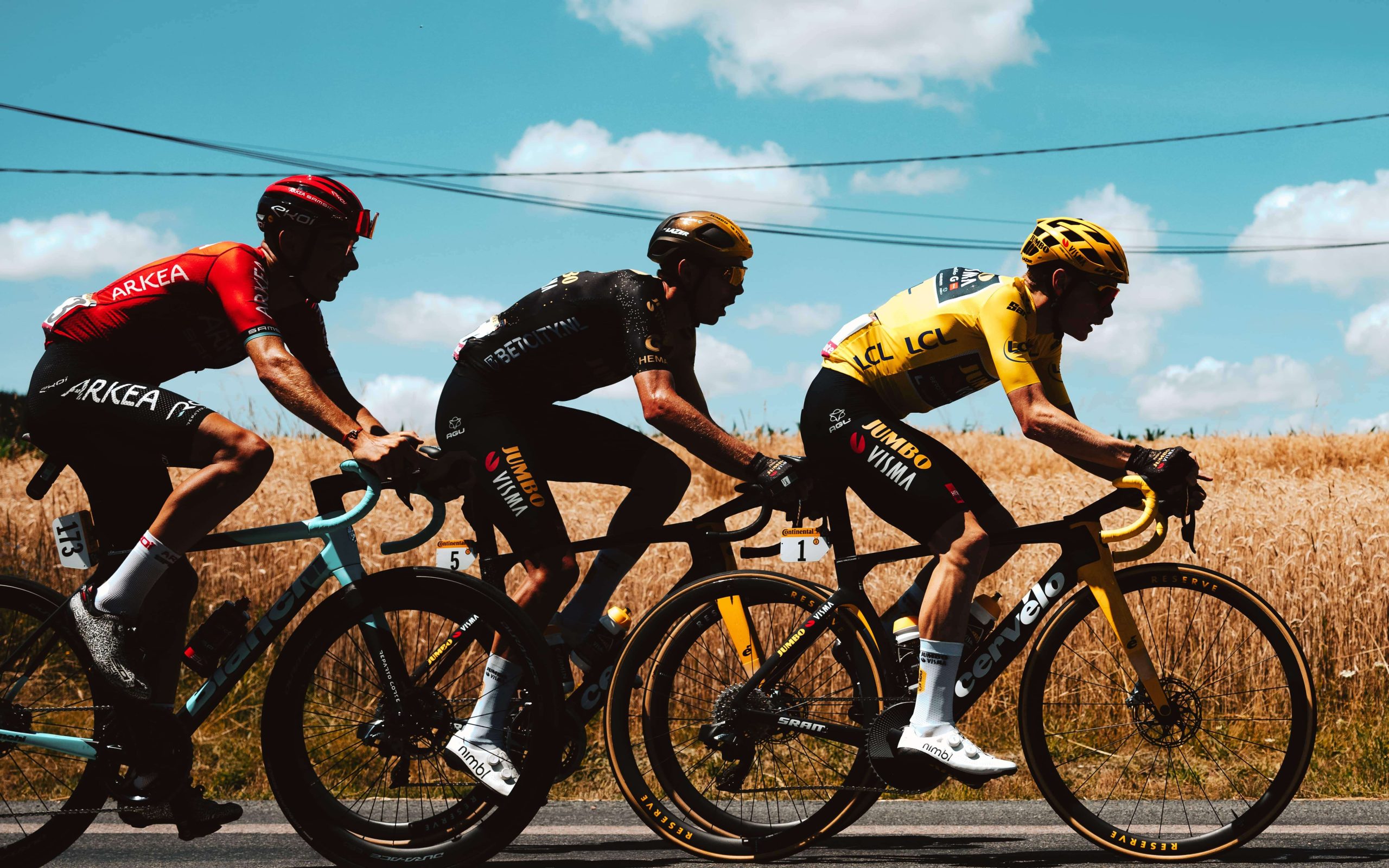 Cyclists near wheat field